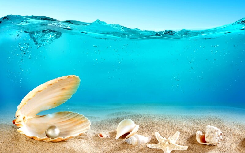 Oyster with Pearl on Sand