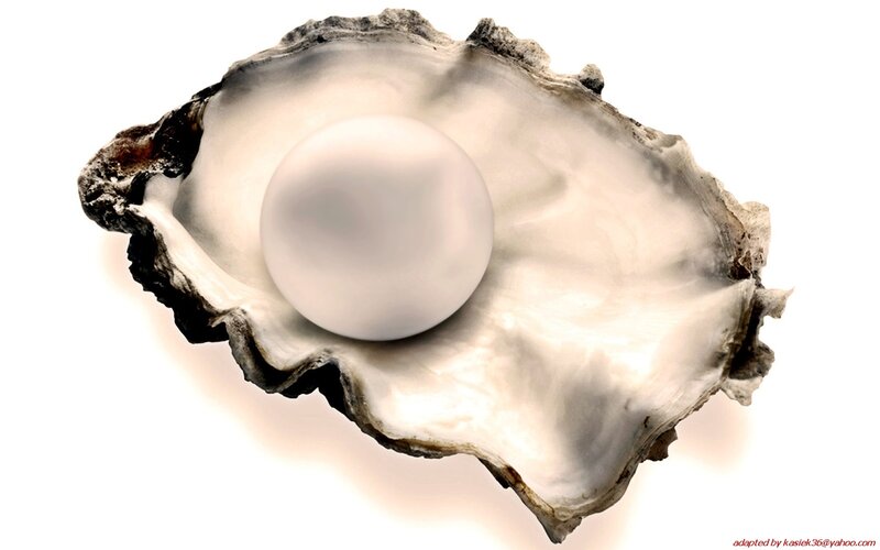 oyster with pearl