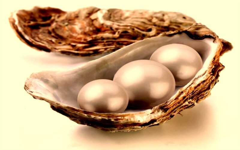 Oyster with Three Pearls