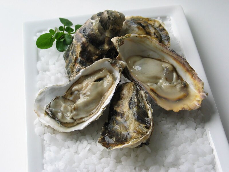 Oysters on Ice