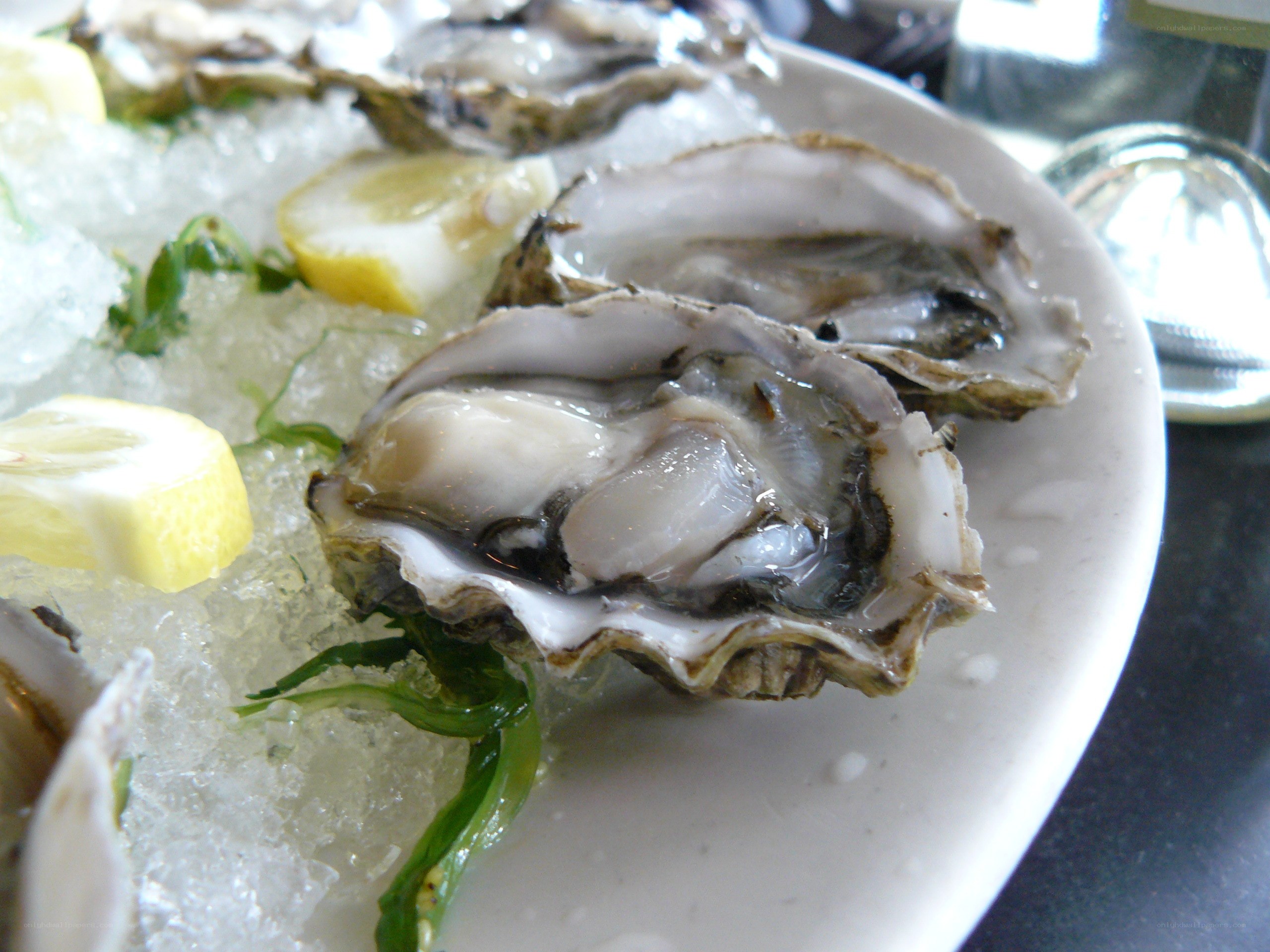 Oysters on ice with lemon