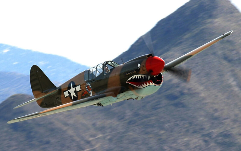 P-40 Warhawk Aircraft — Brown, Dynamic