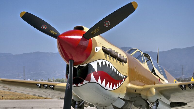 P-40 Warhawk Aircraft — Gold
