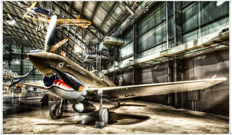 P-40 Warhawk Aircraft — Gray, Dramatic