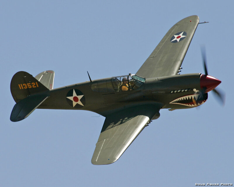 P-40 Warhawk Aircraft — Gray
