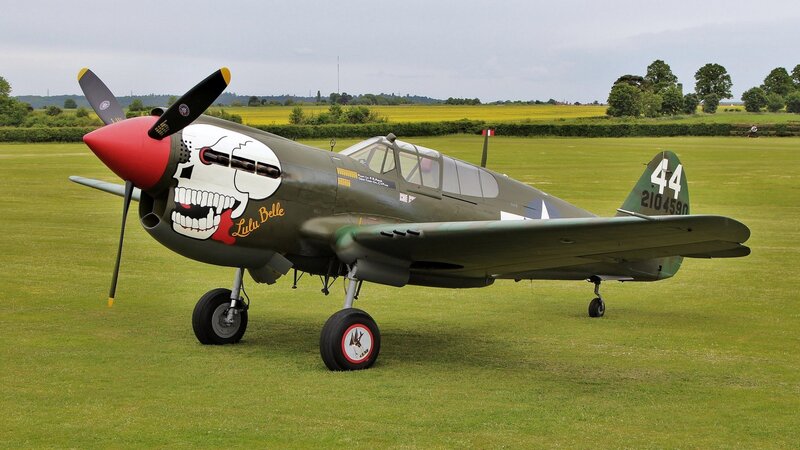P-40 Warhawk Aircraft — Green, Calm, Afternoon, Photograph