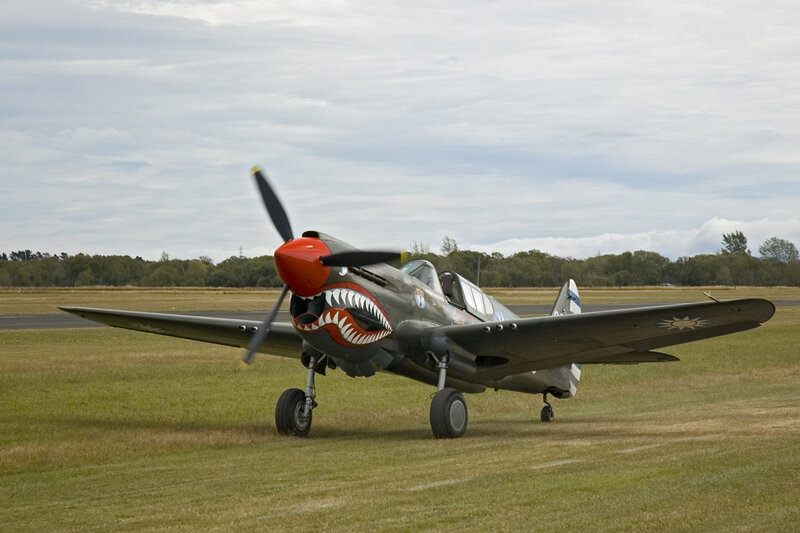P-40 Warhawk Aircraft — Green, Calm, Afternoon