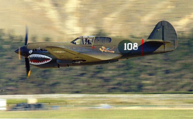 P-40 Warhawk Aircraft — Green, Dynamic, Afternoon, Photograph, Shark Mouth