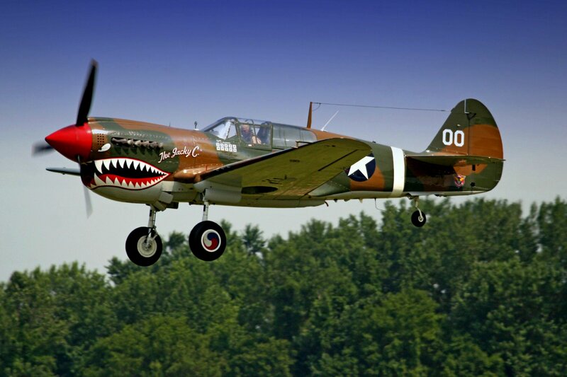 P-40 Warhawk Aircraft — Green, Dynamic, Afternoon, Photograph