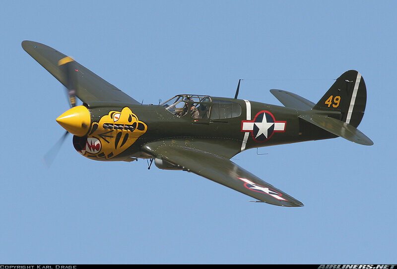 P-40 Warhawk Aircraft — Green, Dynamic, Afternoon