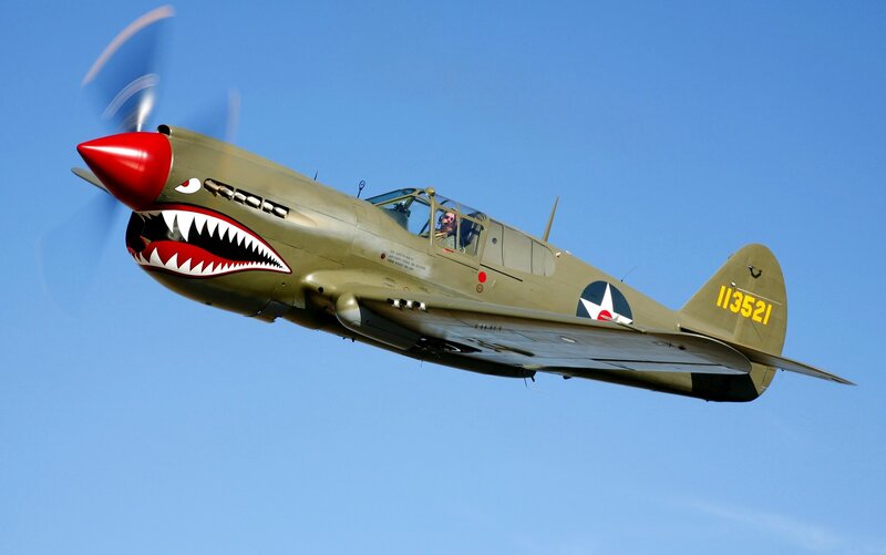 P-40 Warhawk Aircraft — Green, Dynamic