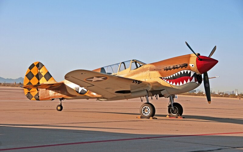 P-40 Warhawk Aircraft — Tan, Calm