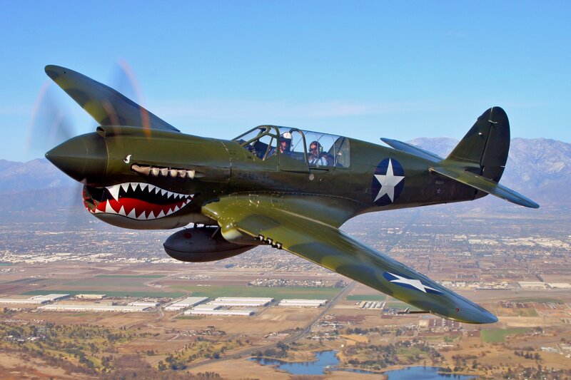 P-40 Warhawk Airplane