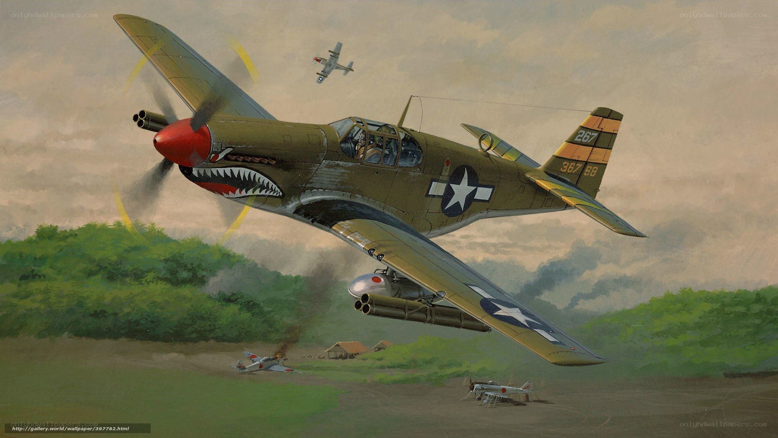 P-40 Warhawk in combat