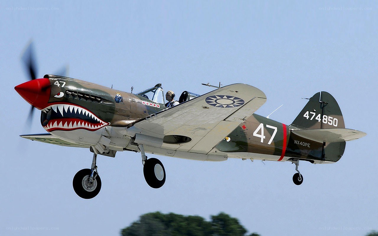 P-40 Warhawk in flight
