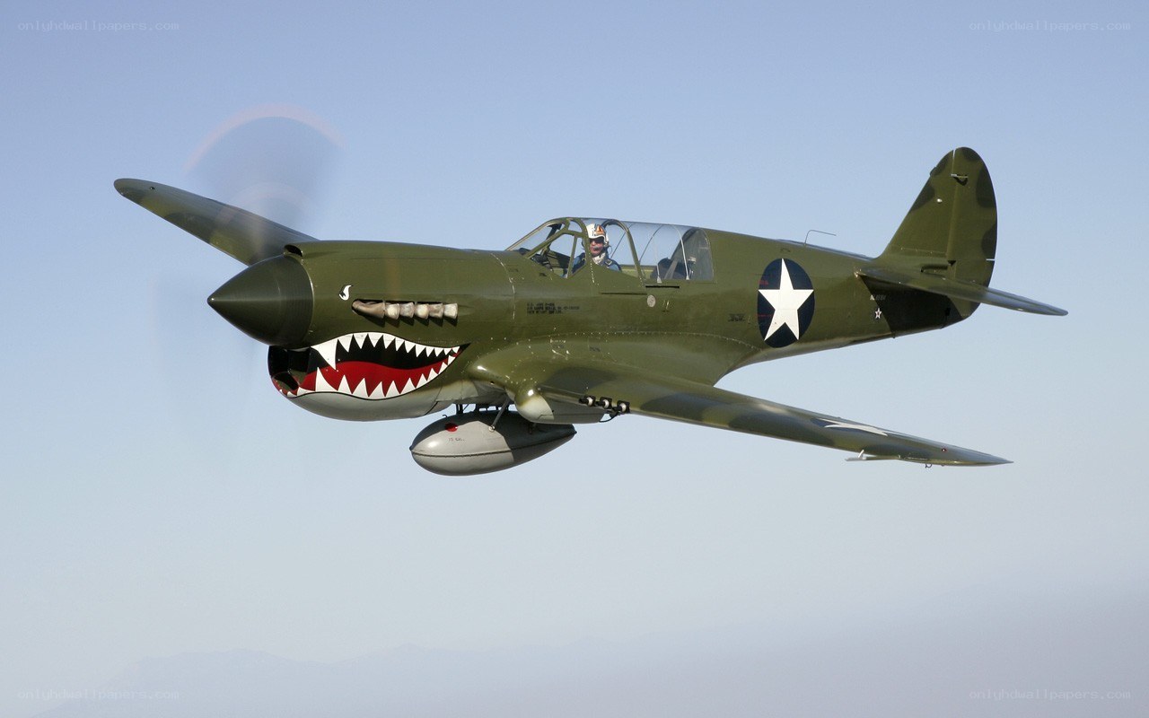 P-40 Warhawk in flight
