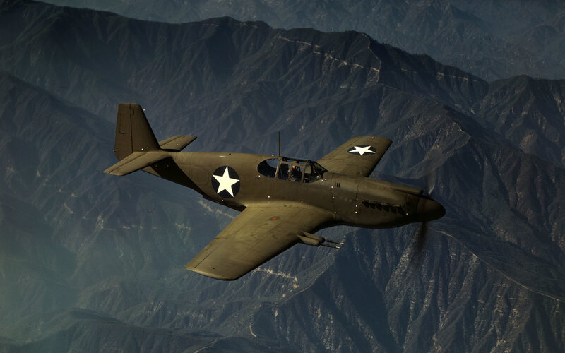 P-40 Warhawk in flight