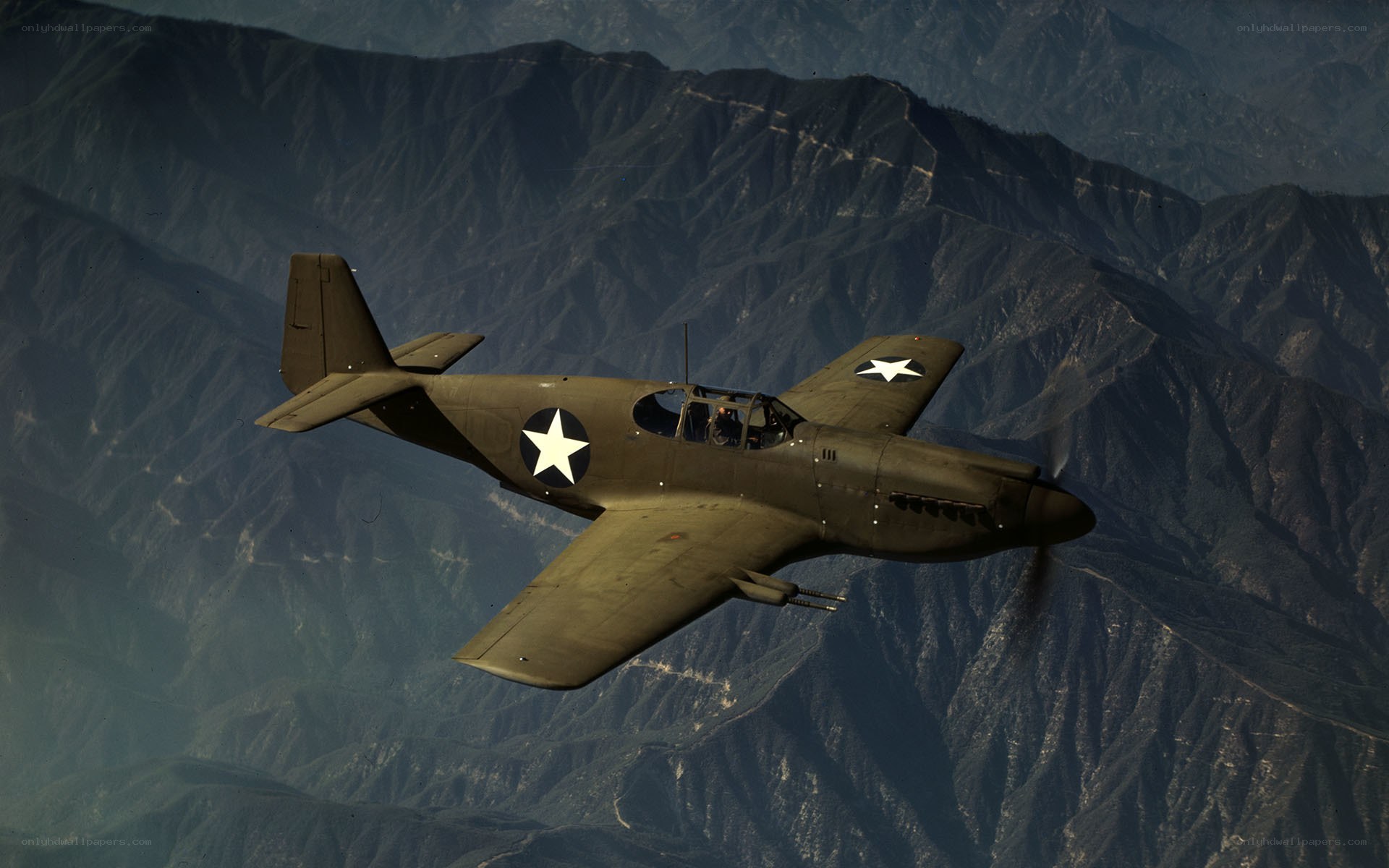 P-40 Warhawk in flight