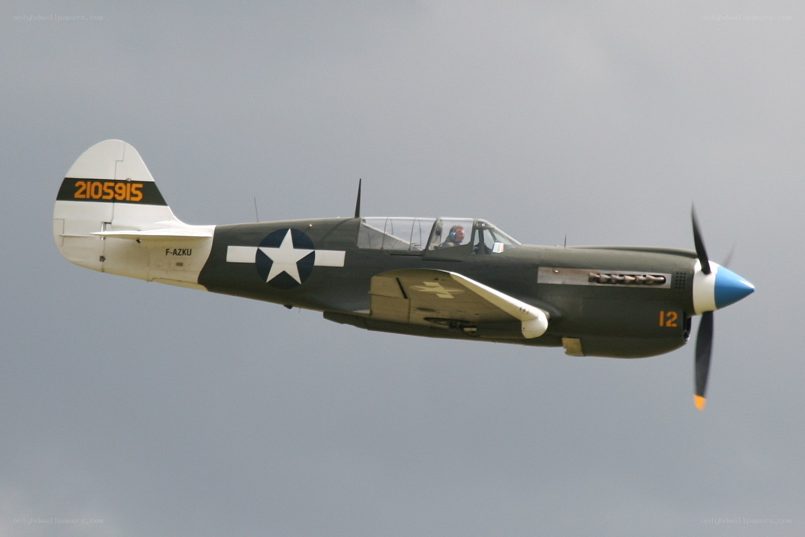 P-40 Warhawk in flight