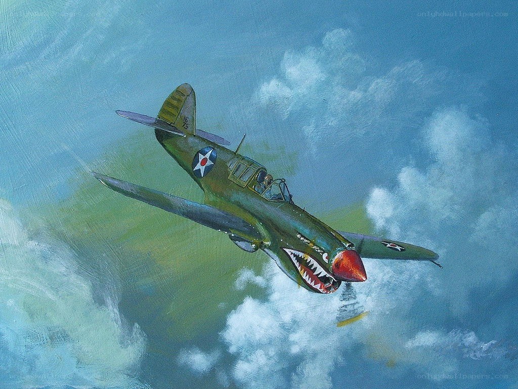 P-40 Warhawk in flight