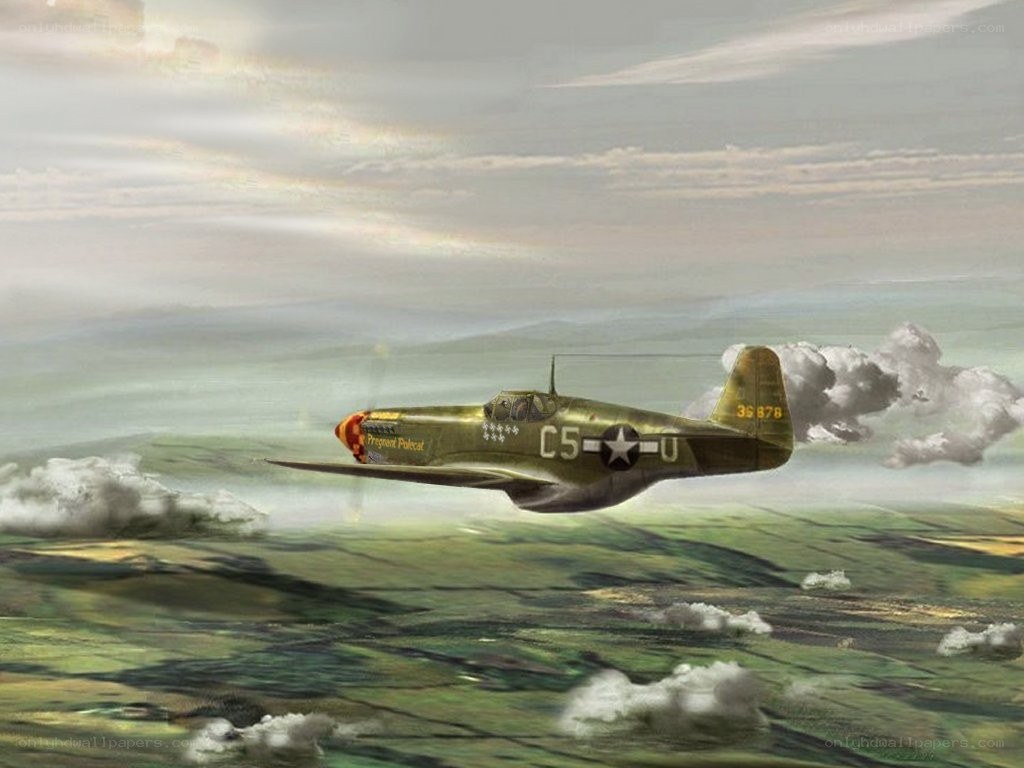 P-40 Warhawk in flight