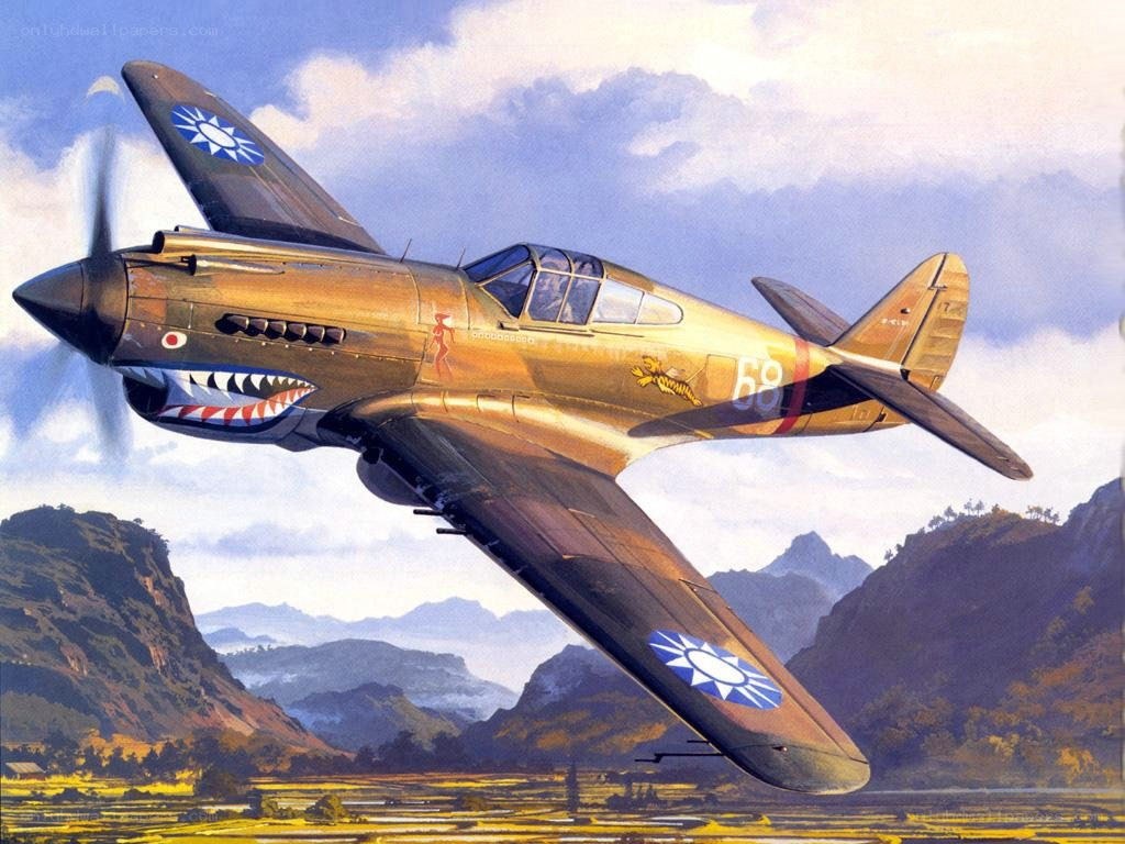 P-40 Warhawk in flight