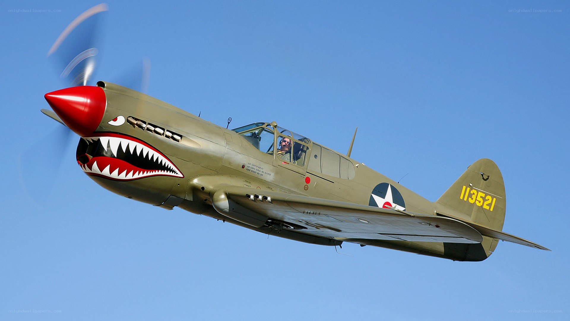 P-40 Warhawk in flight