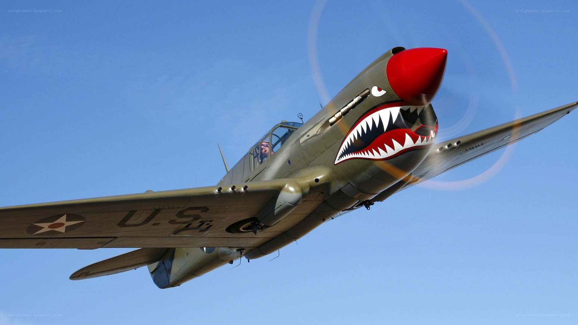 P-40 Warhawk in flight