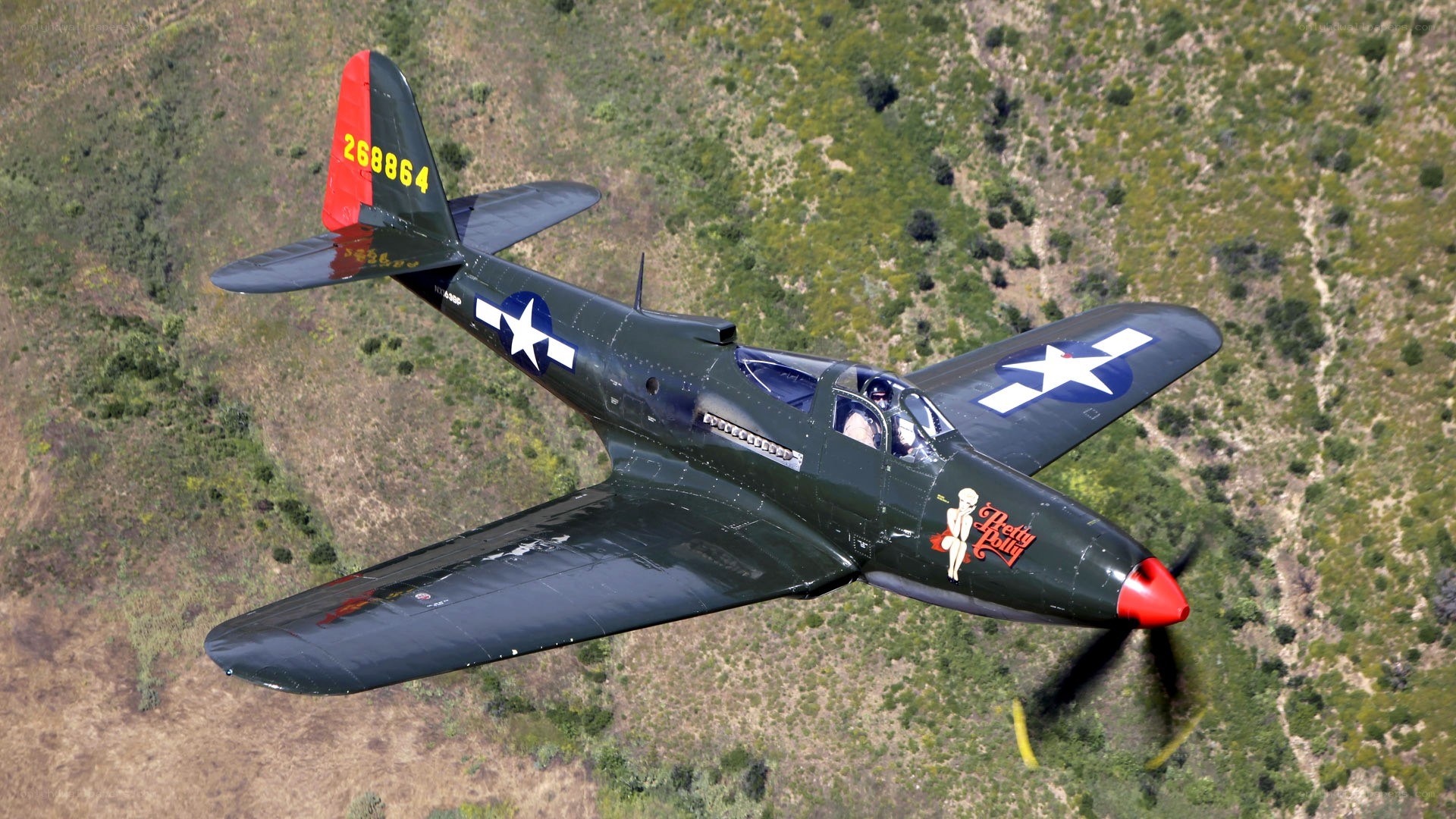 P-40 Warhawk in flight