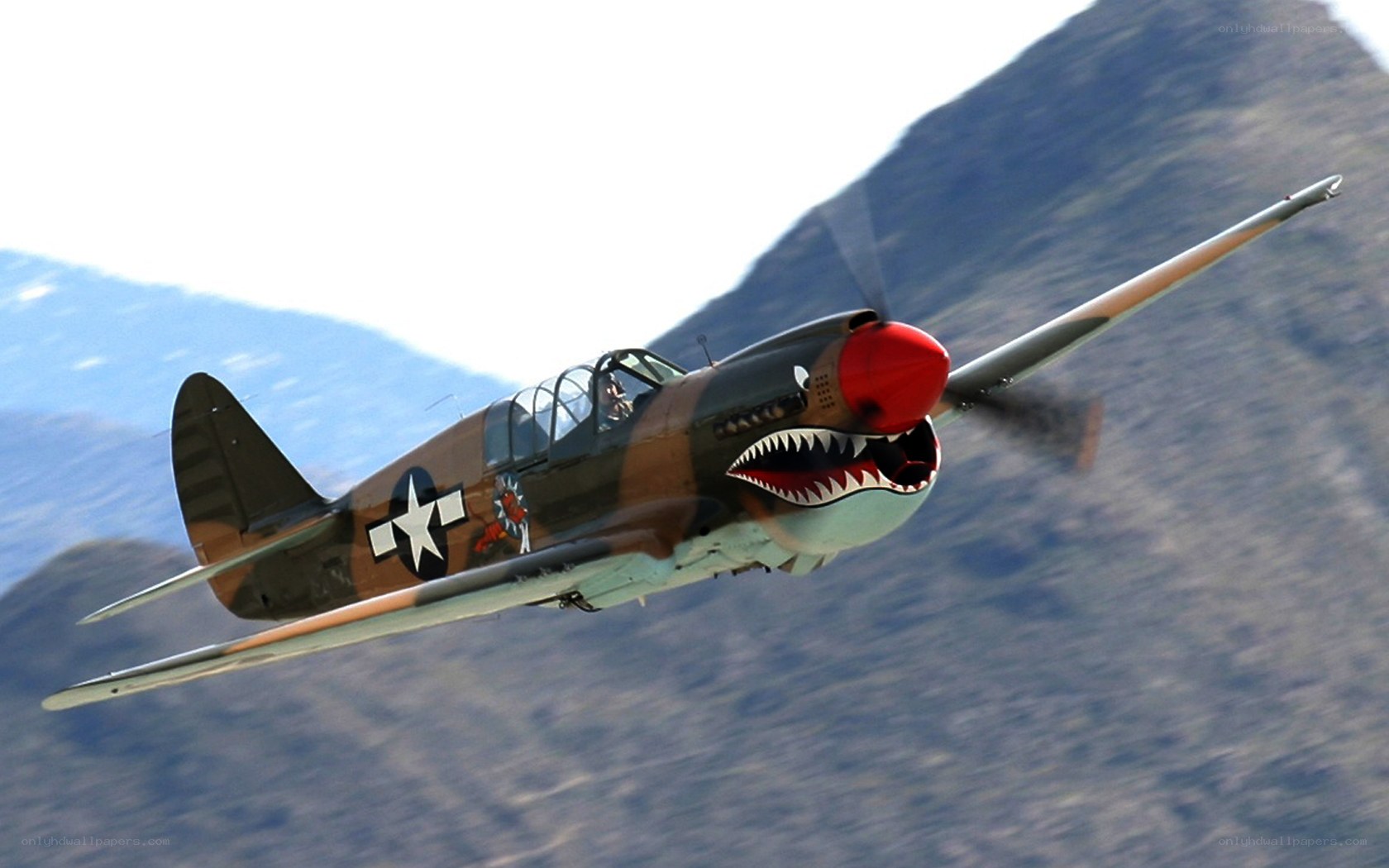 P-40 Warhawk in flight
