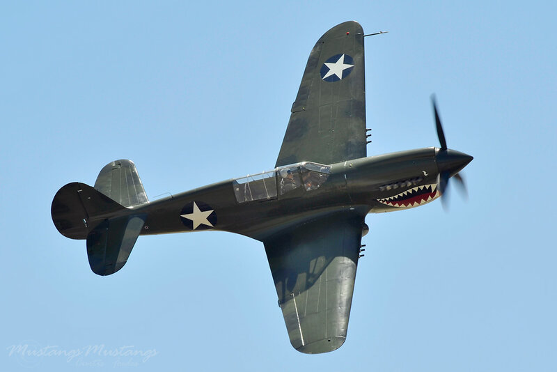 P-40 Warhawk in flight