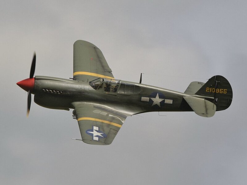 P-40 Warhawk in flight