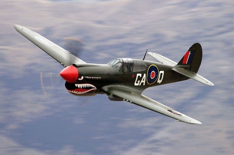 P-40 Warhawk in flight