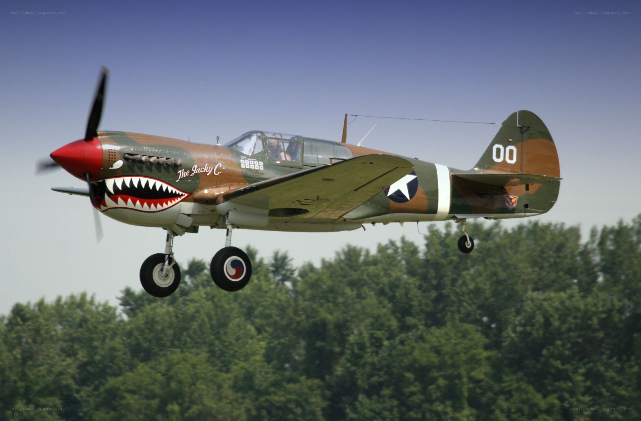 P-40 Warhawk in flight