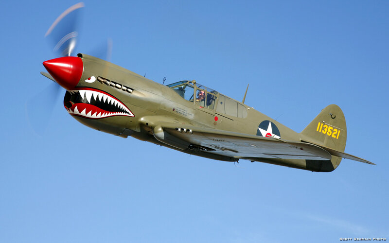 P-40 Warhawk in flight