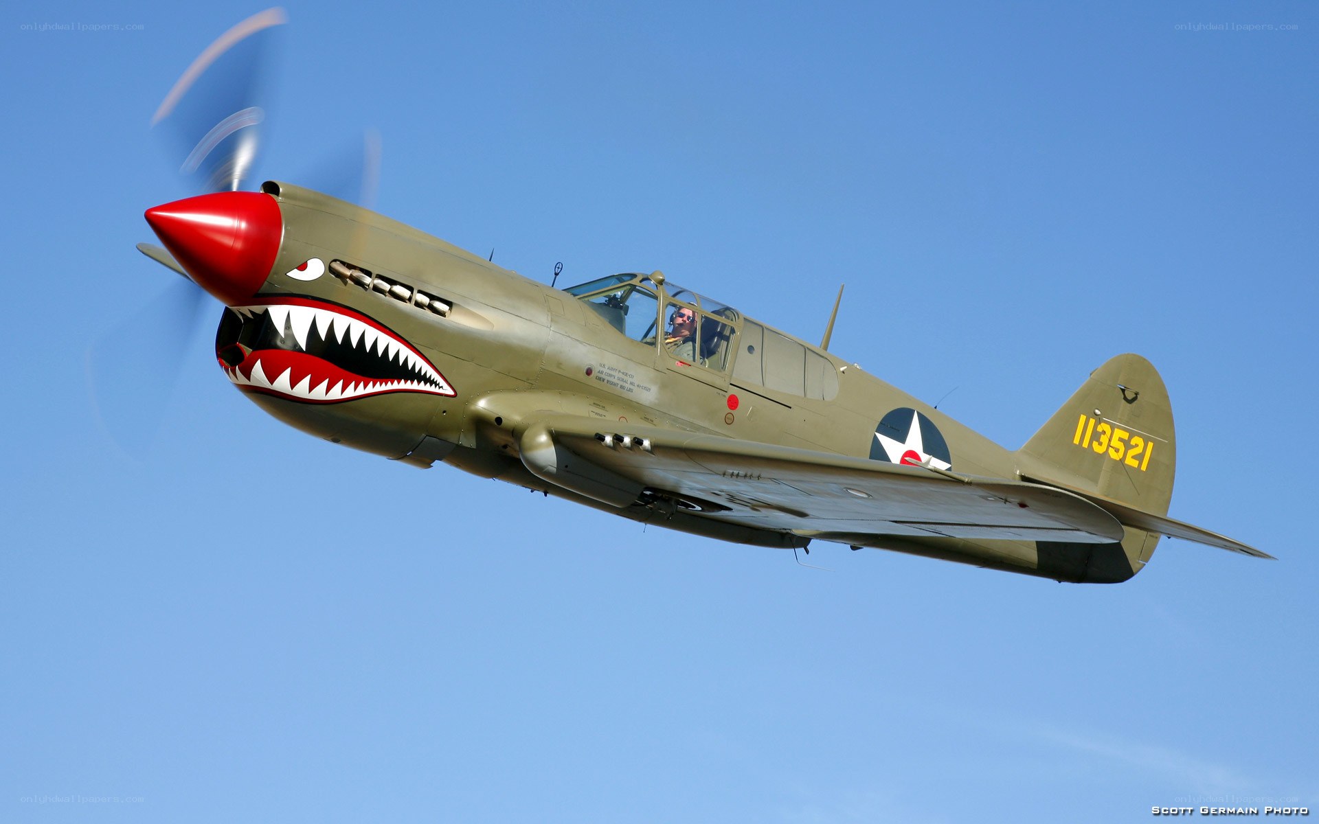 P-40 Warhawk in flight
