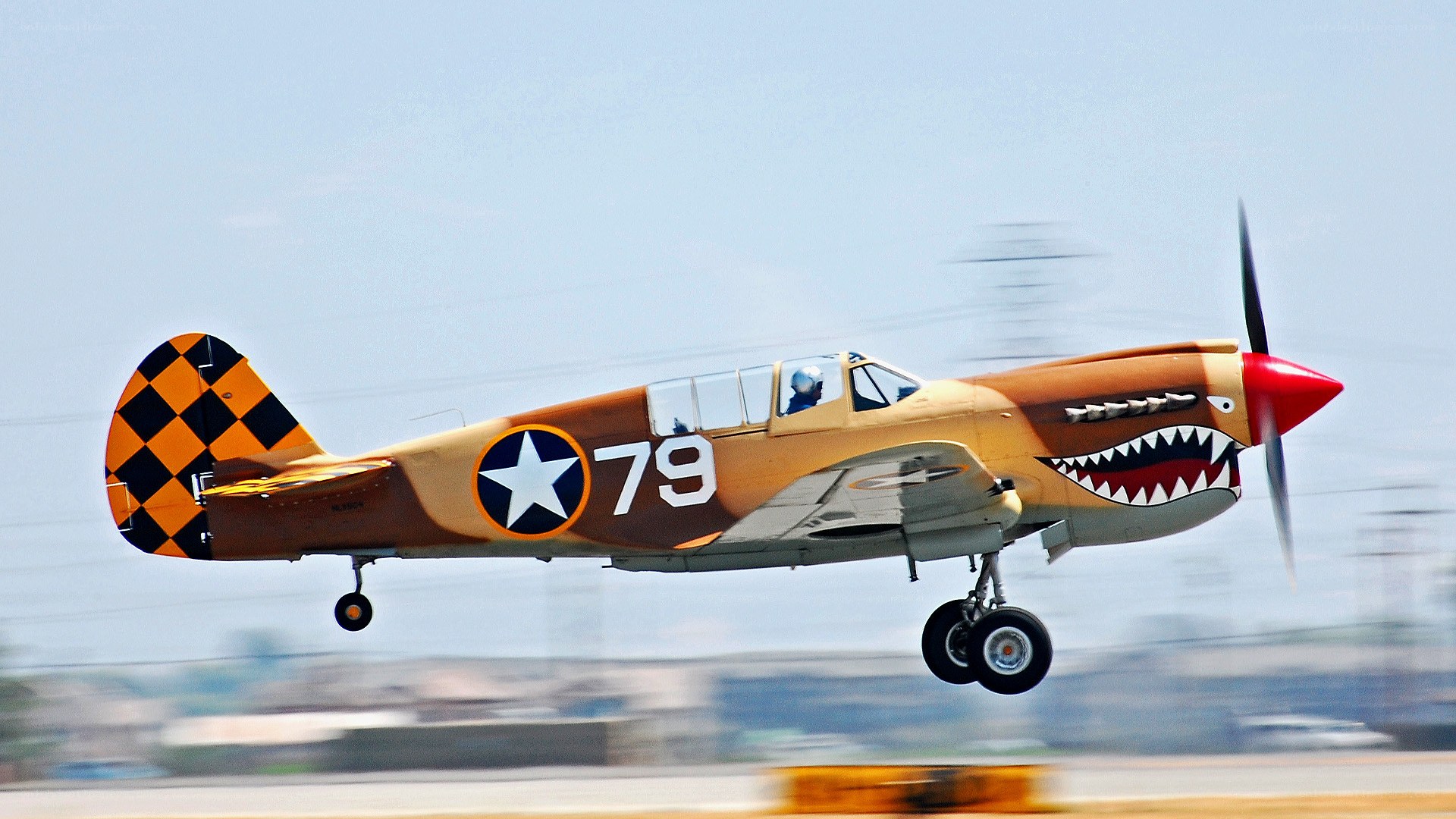 P-40 Warhawk in flight