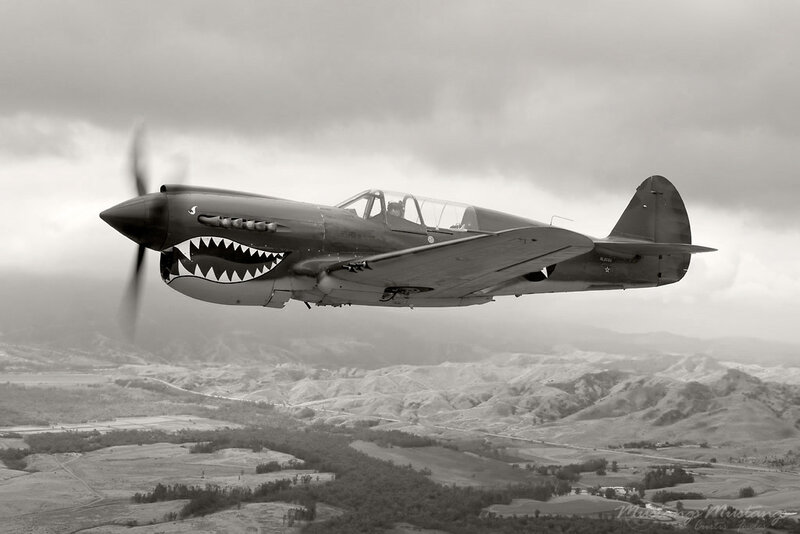 P-40 Warhawk in flight