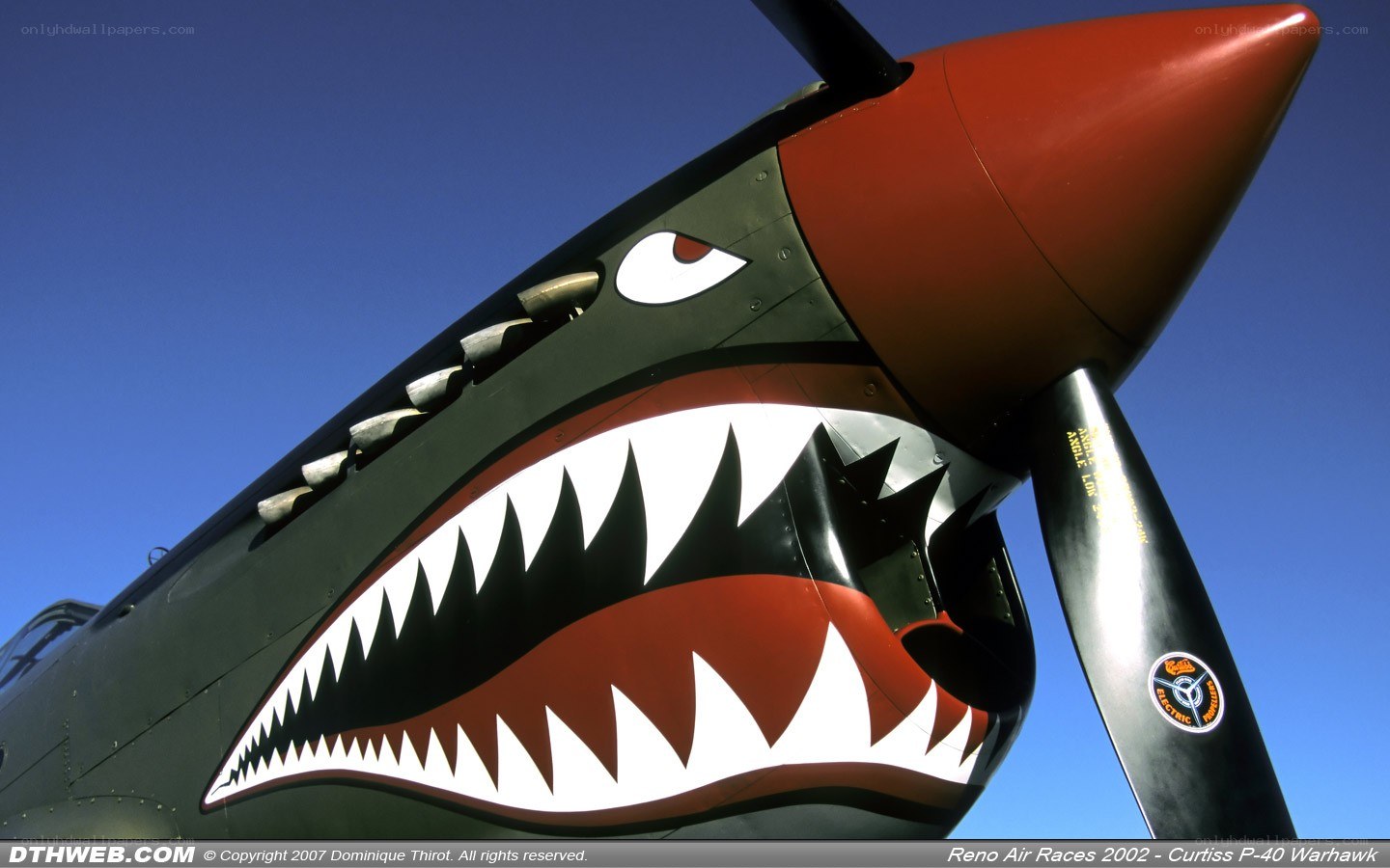P-40 Warhawk nose art