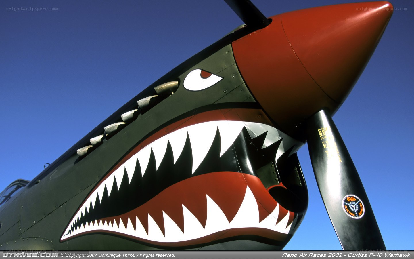 P-40 Warhawk nose art