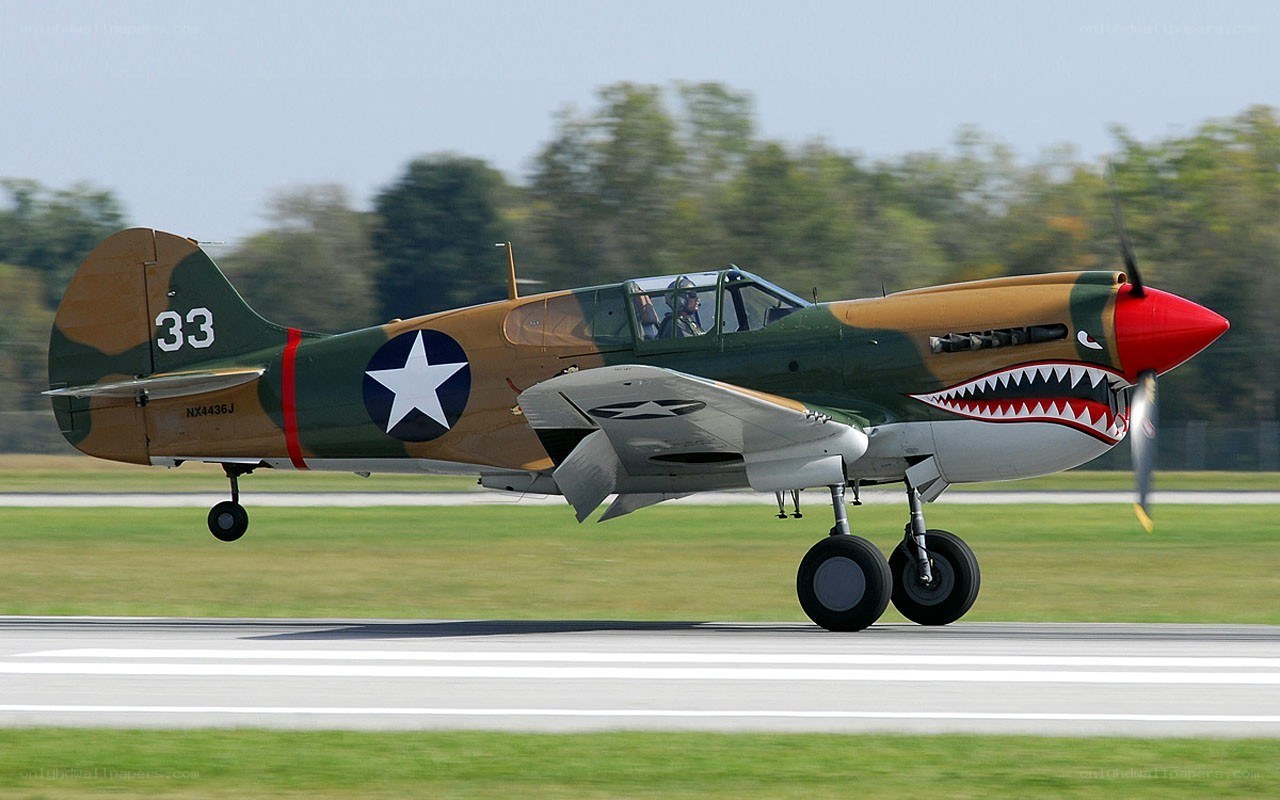P-40 Warhawk on runway