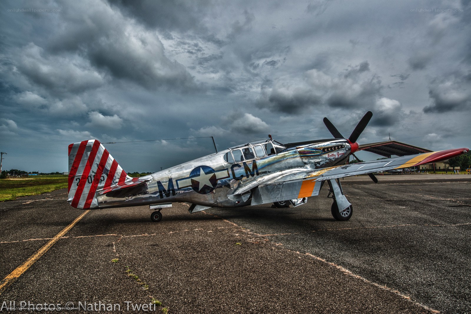P-40 Warhawk on tarmac