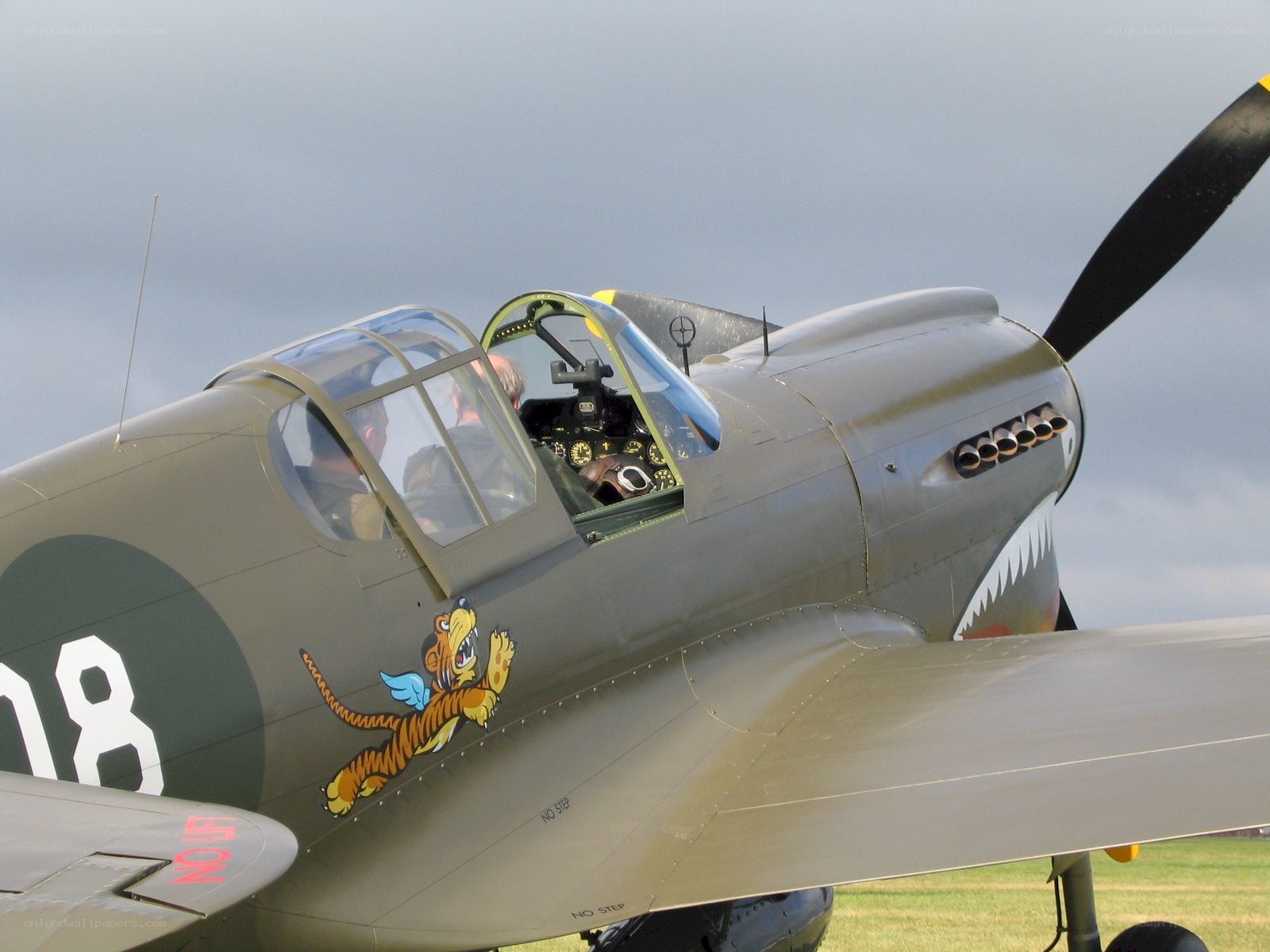 P-40 Warhawk with shark teeth