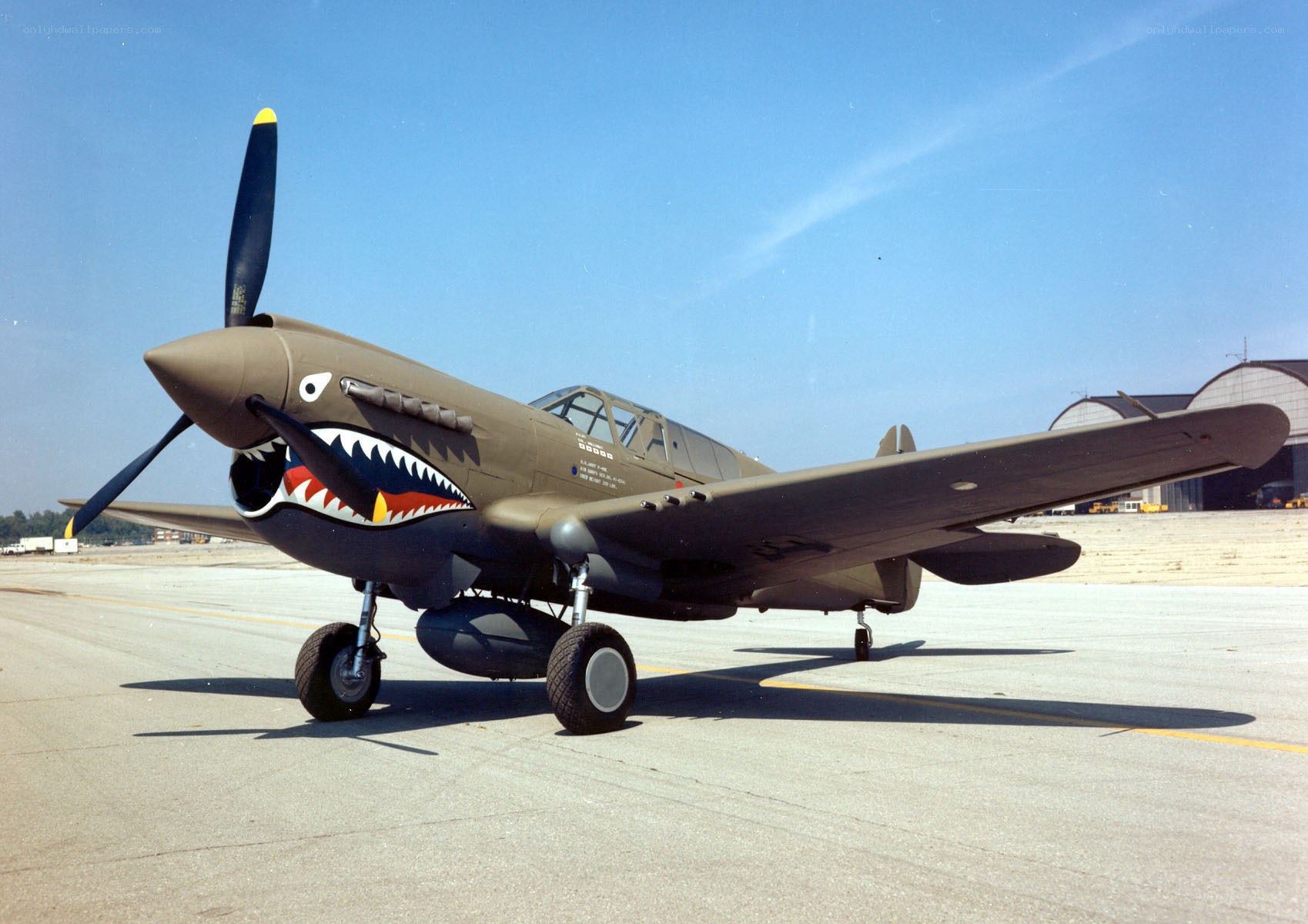 P-40 Warhawk with shark teeth
