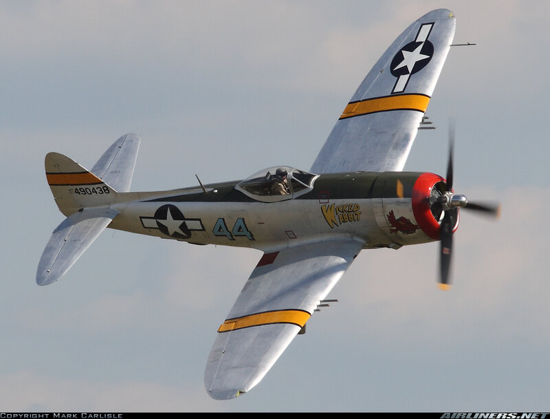 P-47 Thunderbolt Aircraft — Gray, Dynamic, Afternoon