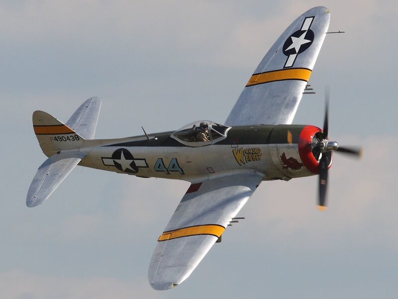 P-47 Thunderbolt Aircraft — Gray, Dynamic