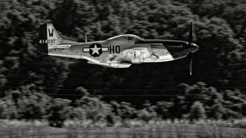 P-51 Mustang Aircraft — Black, Dynamic
