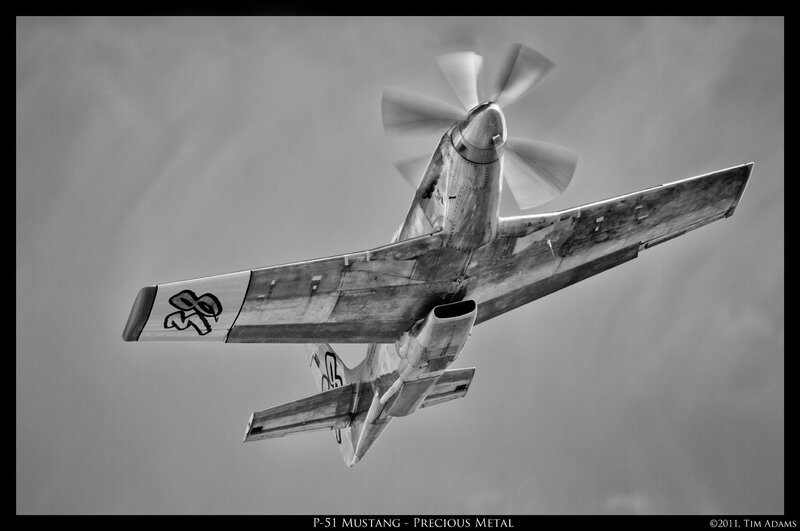 P-51 Mustang Aircraft — Black