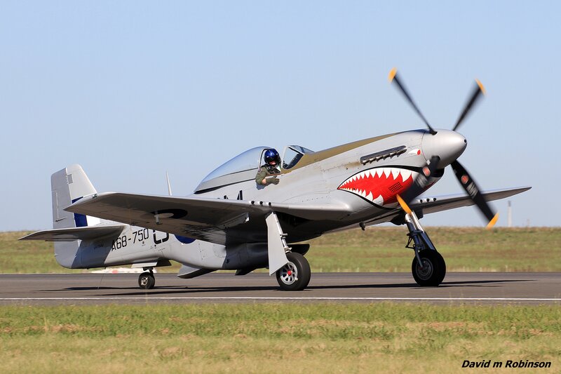 P-51 Mustang Aircraft — Gray, Calm