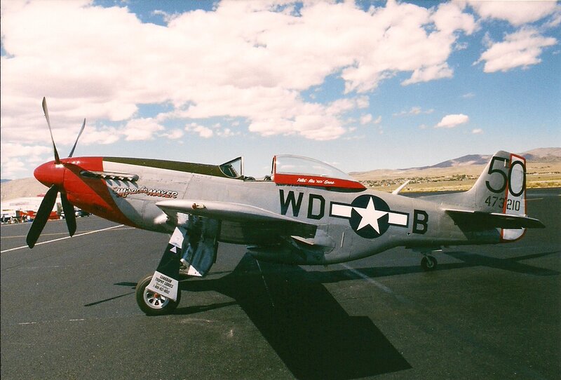 P-51 Mustang Aircraft — Gray, Clear
